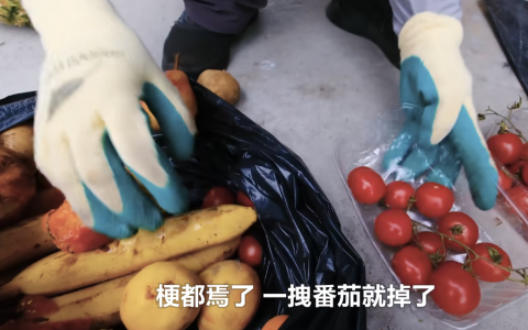 在法国捡垃圾吃，废弃食材如何变米其林美味？