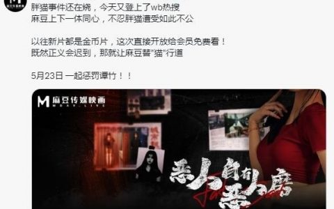 没关系，麻豆会出手！