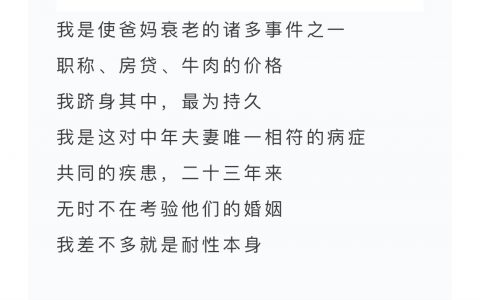 《我是使爸妈衰老的诸多事件之一》