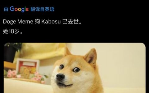 doge表情包柴犬去世