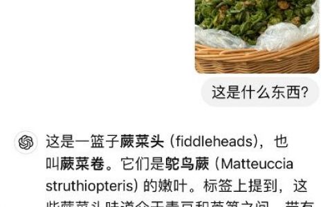 那一个个下午