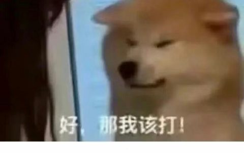 这几个月别轻易离职……