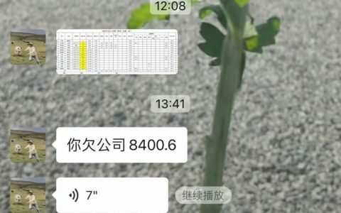 上一个月班欠公司8000