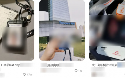 大厂离职成了流量密码，这些年轻人赚到钱了吗？