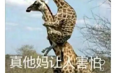 历史上外交时有哪些尴尬场面？ ​​​