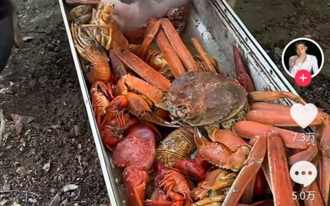 这养猪场能不能给我留个位置？ ​​​