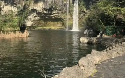 跑去济州岛看瀑布的人是咋想的 ​​​