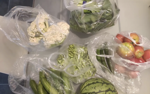 这两个月食品价格降好凶