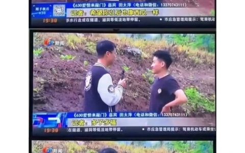 无籽西瓜 ​​​