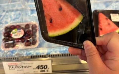 说实话，出去吃顿饭送的西瓜都切得比这个大。 ​​​