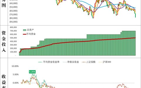 胡锡进炒股1周年