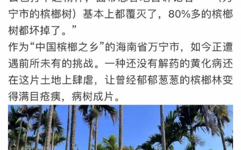 因为这个黄化病，湖南人民的平均寿命可能要提升几岁。