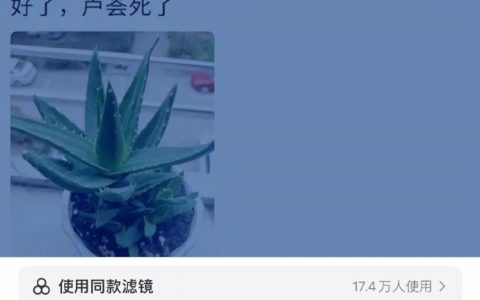 啊啊啊啊看到这个去买芦荟了！ ​​​