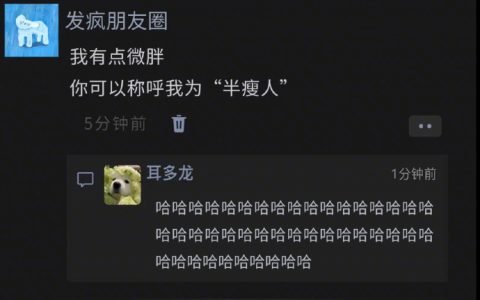 《别叫我胖子 叫我半瘦人》 ​​​