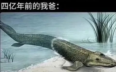 不好意思，我们J人是这样的