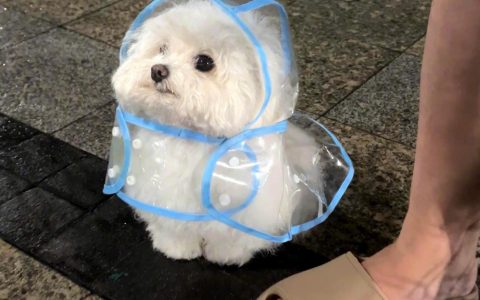 怎么会有这么可爱的宝宝！