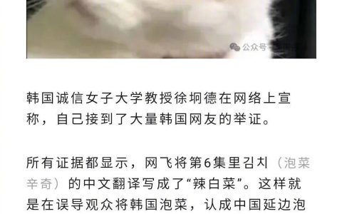 韩国抗议将泡菜译成中国辣白菜