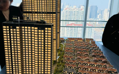 二手豪宅的房东，最近压力大了