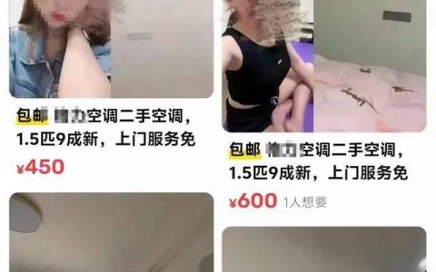 “二手空调” 上门服务，可骑90分钟… 闲鱼成 “黄鱼”？