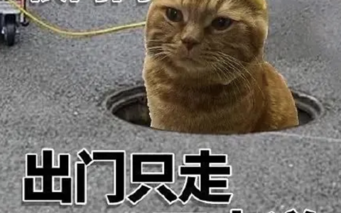 在电梯给大爷整理了一下后衣领