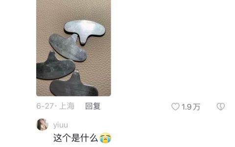 懂了，楼主是一只松鼠
