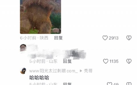 哈哈哈哈哈莫名其妙 ​​​