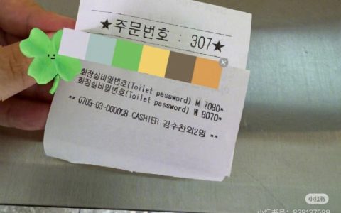 上网你甚至可以找到国外厕所密码