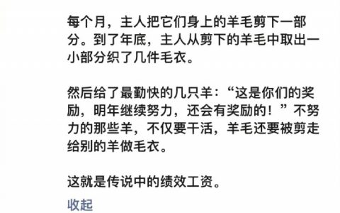 终于明白什么叫绩效工资……
