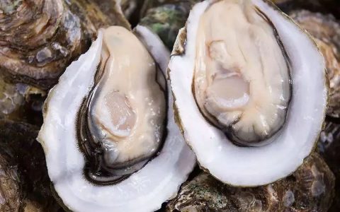 自然界中，哪种动物活得最惬意？