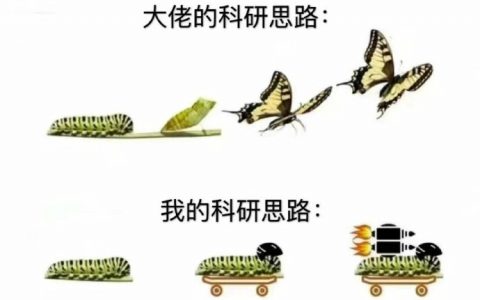 上下哪个更有创新