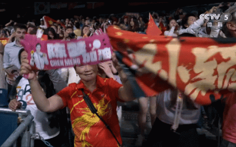 去饭圈化，迫在眉睫 ​