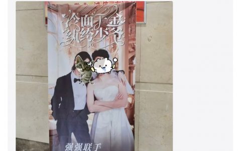 参加他们的婚礼一半被赶出来说要付费解锁接下来的流程