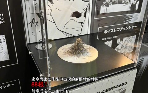 《名侦探柯南》里用了多少麻醉针，竟然比我想的少！