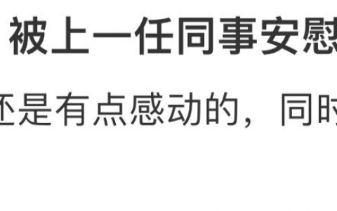 上班第一天，被上一任同事安慰到