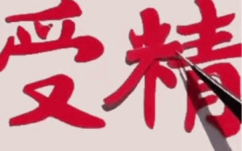 好奇怪的图 ​​​