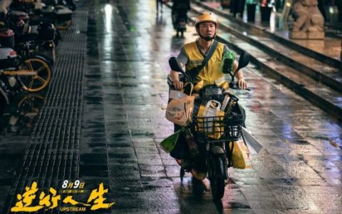 《逆行人生》看完了，非常落地的一部现实主义