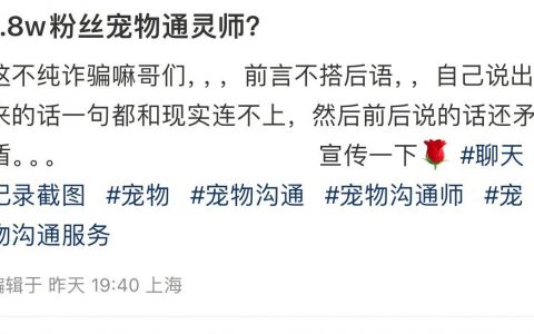 宠物通灵师……怎么会有这样让人尴尬的职业……