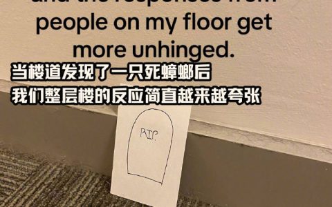 当你的邻居们在楼道里发现了一只死蟑螂..