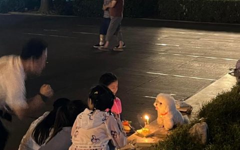 小狗会永远记住这一天