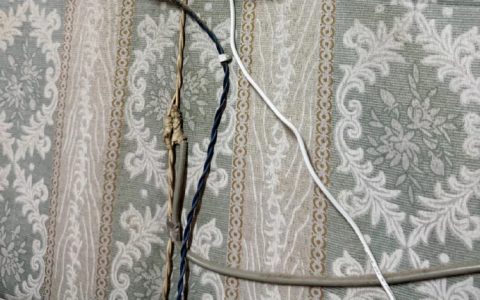 好咯 这下再也不用担心不生小孩死了都没人知道了 ​​​