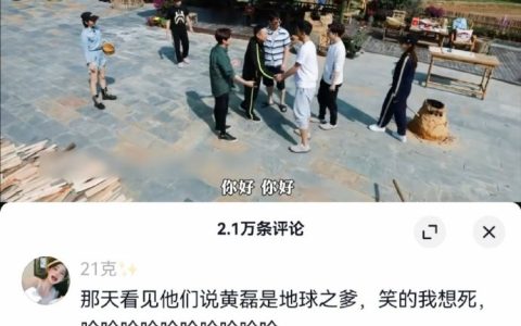 黄磊到底知不知道网友这么评价他