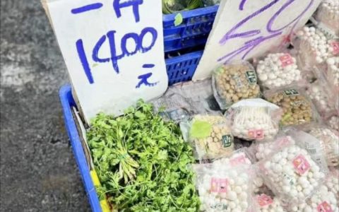 台湾香菜价格暴涨， 一斤香菜1400新台币，合人民币300多