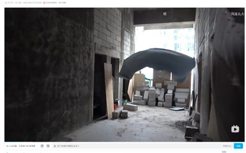 中国人太温顺了