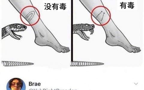 所以要知道一条蛇有没有毒，要先给他咬咬看？ ​​​