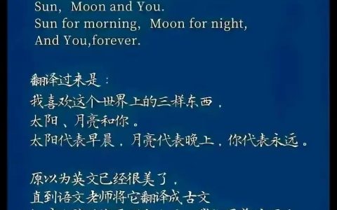 中文翻译真的太绝了！完胜 ​​​