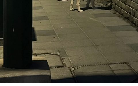家长快点看见，替宝贝出气