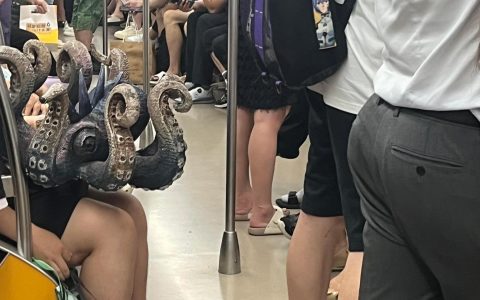 成都还是太超前了 ​​​