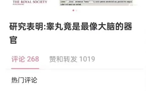在现代代议制中，一般下议院有提案权，上议院只有否决权（且一般很少行使）