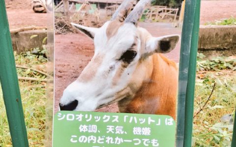 我也想用这种态度生活 ​​​