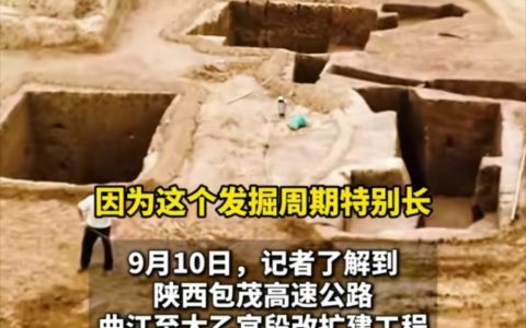 平均每十来米一座古墓，古墓排队了属于是......